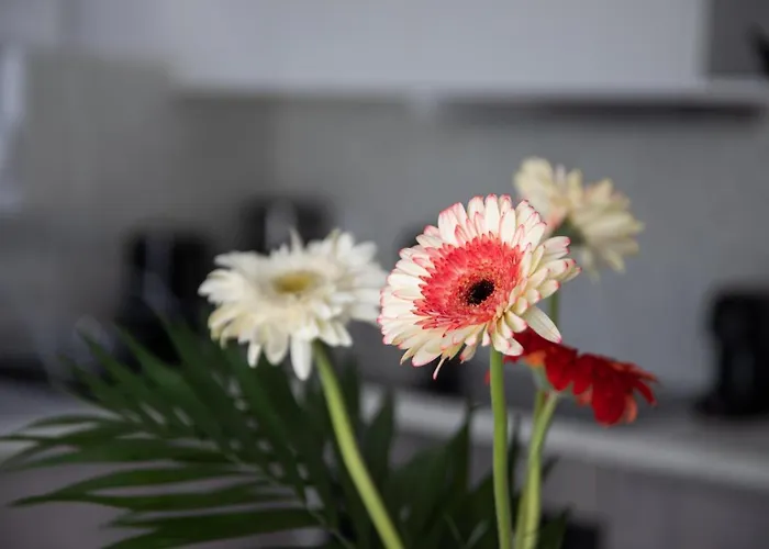 Aegean Eyes 3bd House βy The Sea Tatil Evi Kéfalos