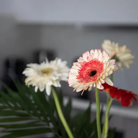 Aegean Eyes 3bd House βy The Sea Сasa de vacaciones Kéfalos